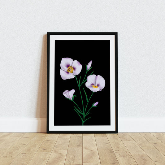 California Wildflower Mariposa Lily Art Print