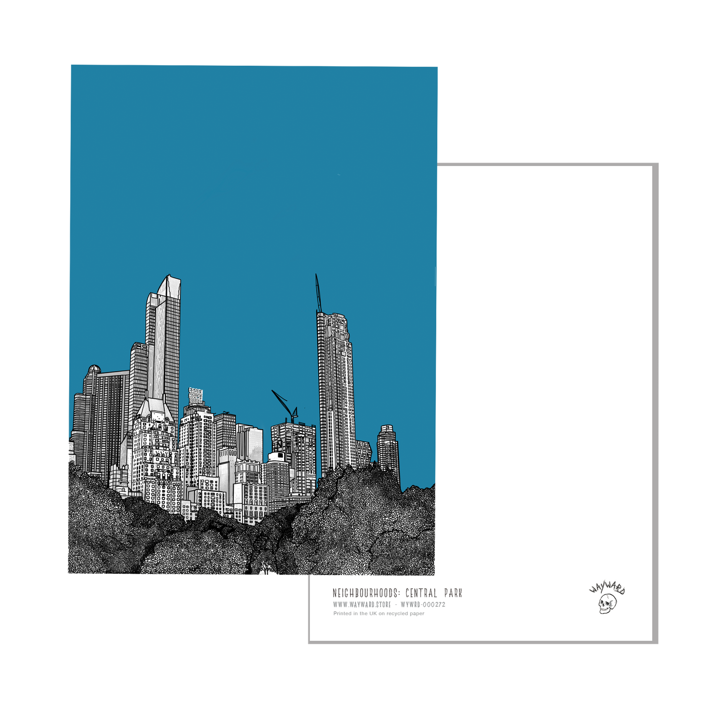 Central Park New York Postcard