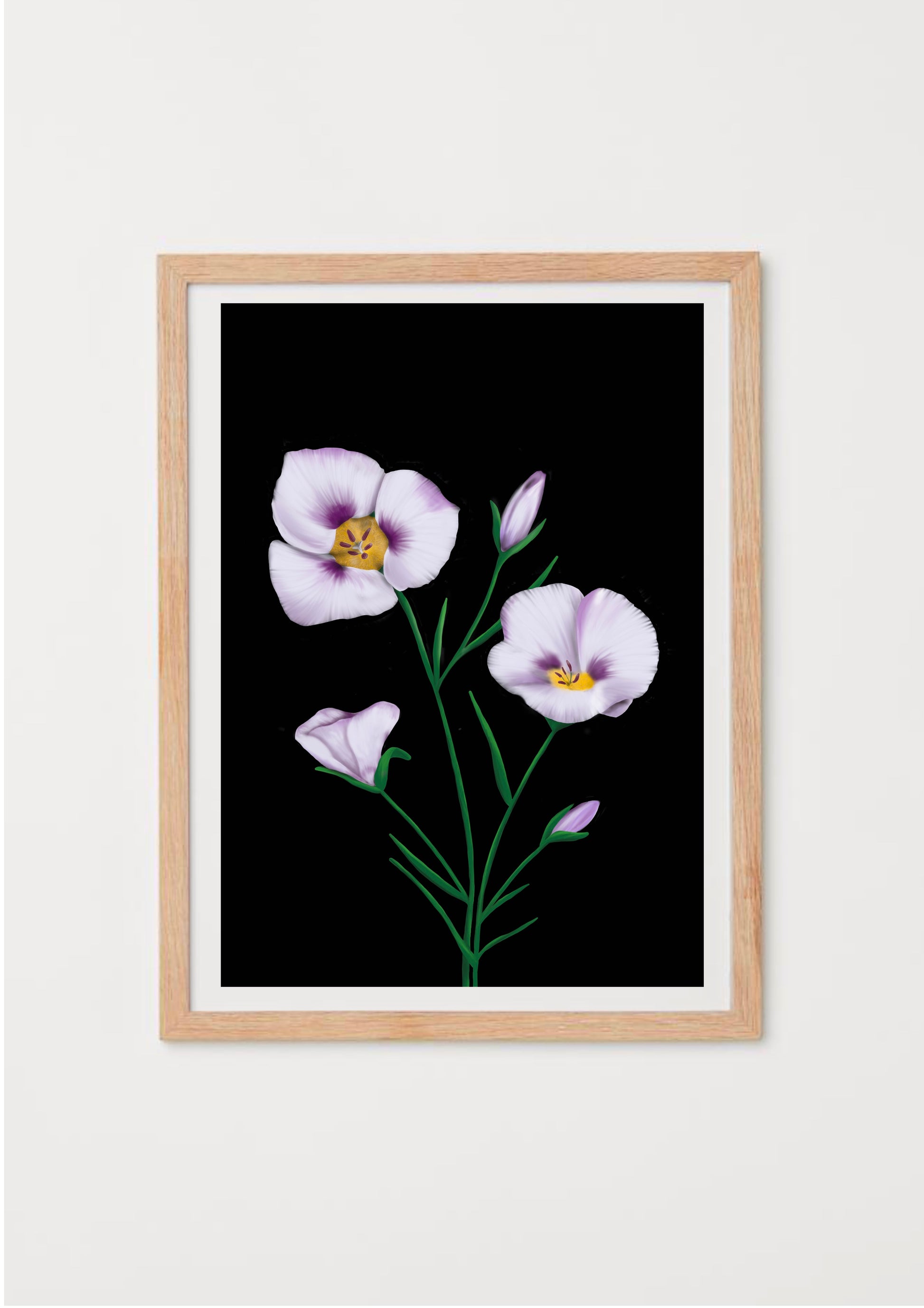 California Wildflower Mariposa Lily Art Print