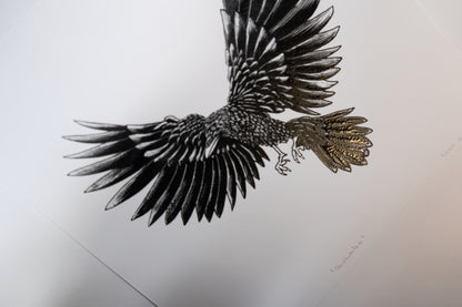 Deathwalker - Crow  20x20cm Screenprint