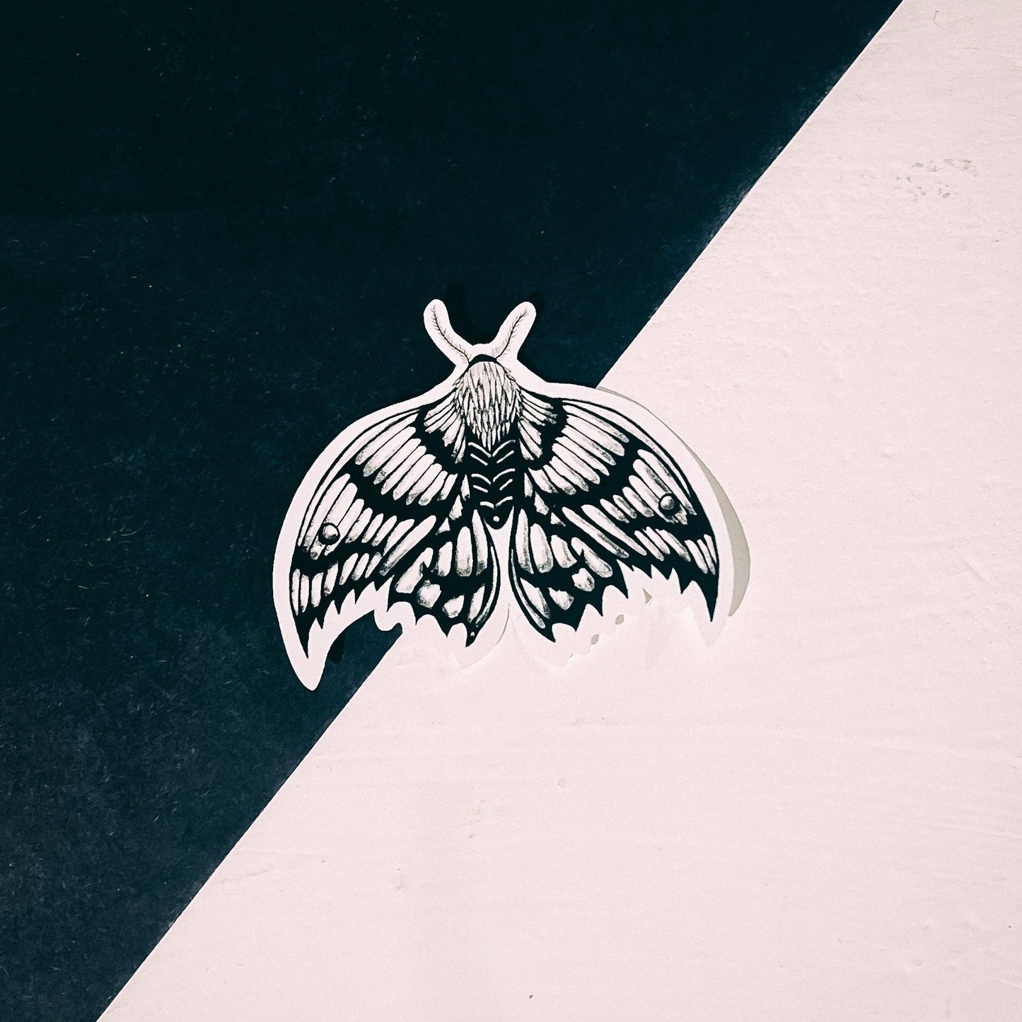 Moth Matt Vinyl Sticker