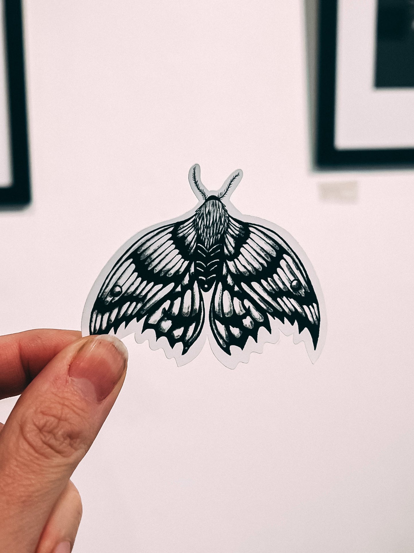 Moth Matt Vinyl Sticker